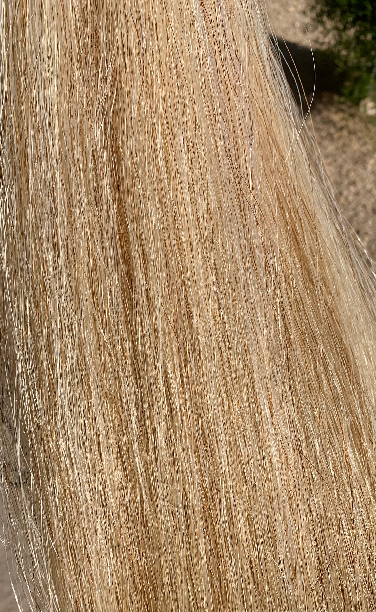 Flaxen Tail Extension, 36”, 1.5 Lbs