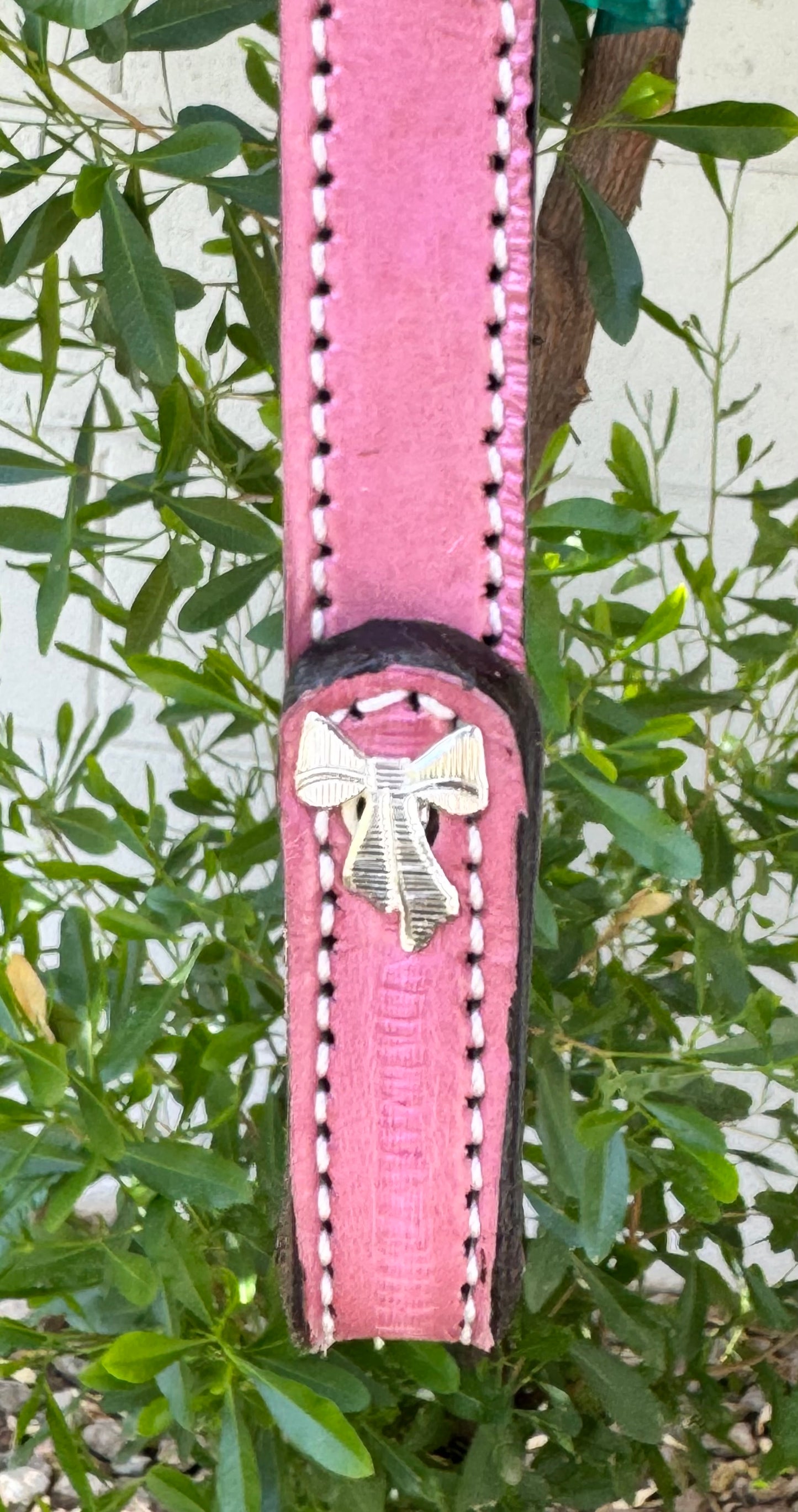 Fairytail Leather Co Dusty Pink Eel Headstall