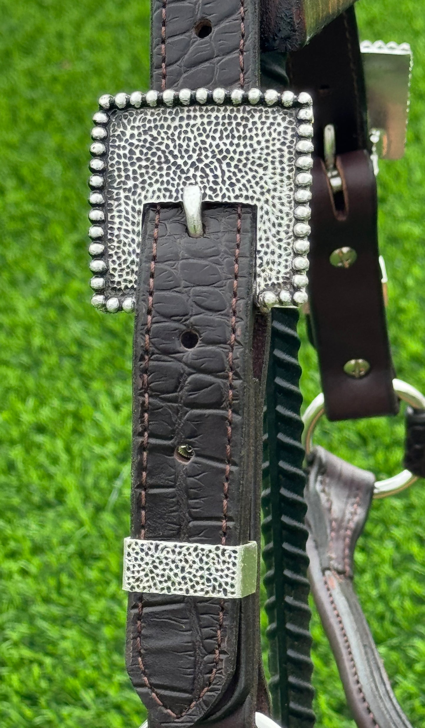 Brown Horse Size Crocodile Embossed Halter