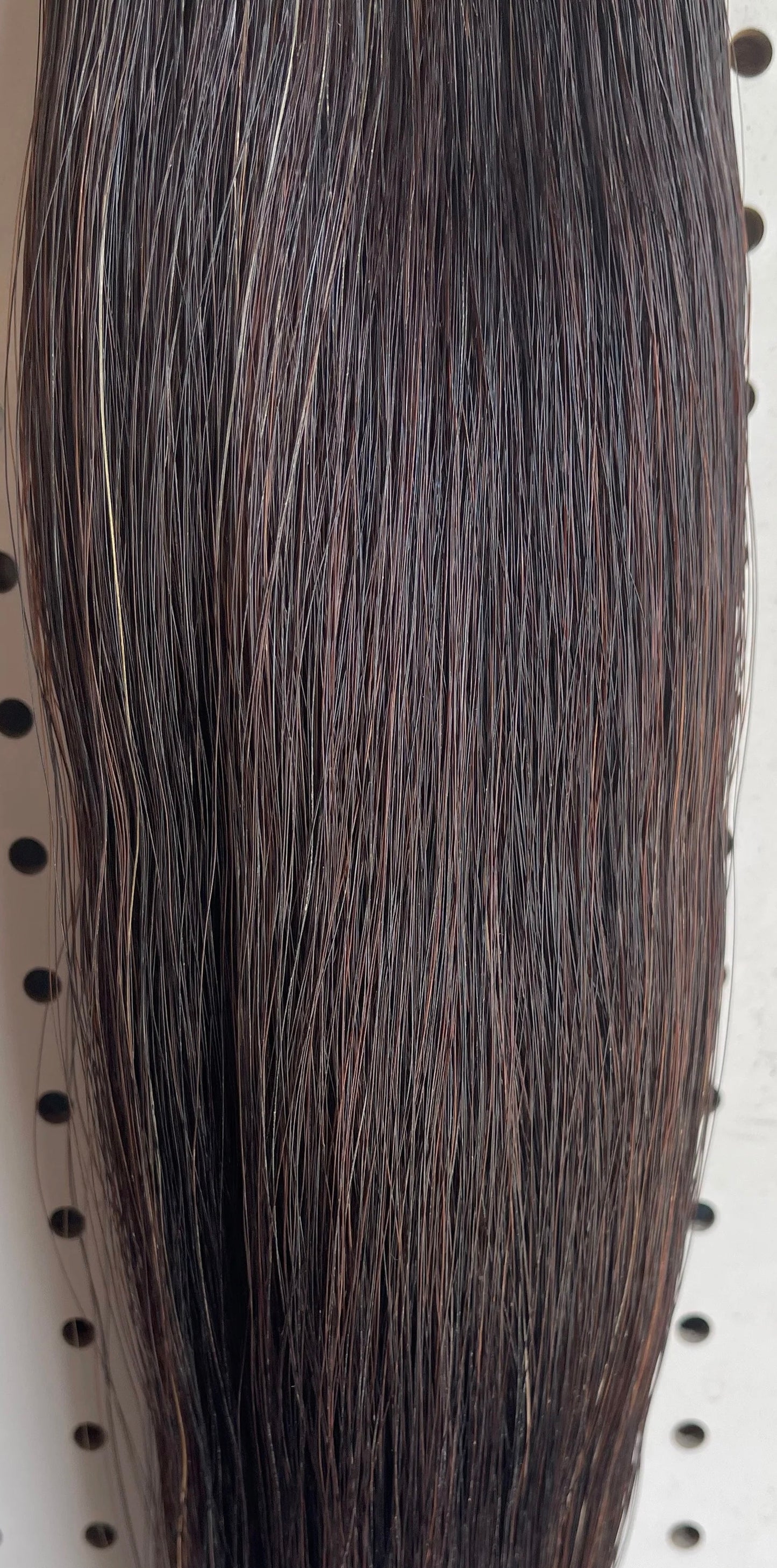 Black Brown Tail Extension, 1.5 lbs, 36”, Weight Setup