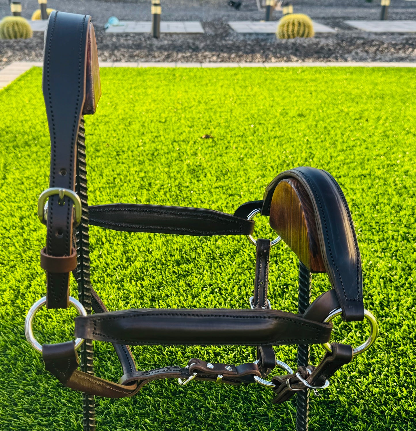 Havana Horse Size Padded English Show Halter