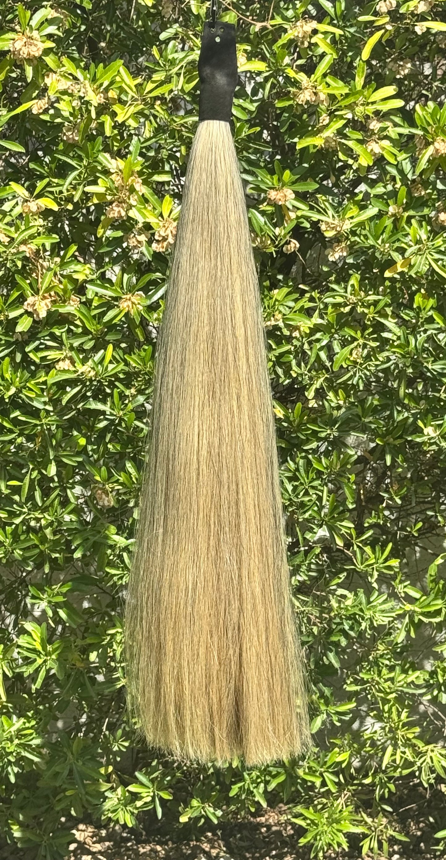 Extra Light Gray with Golden Tones Show Tail Extension, 2 Lbs, 40”