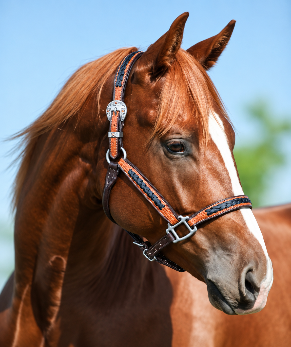 Fairytail Leather Co Ranch Halter