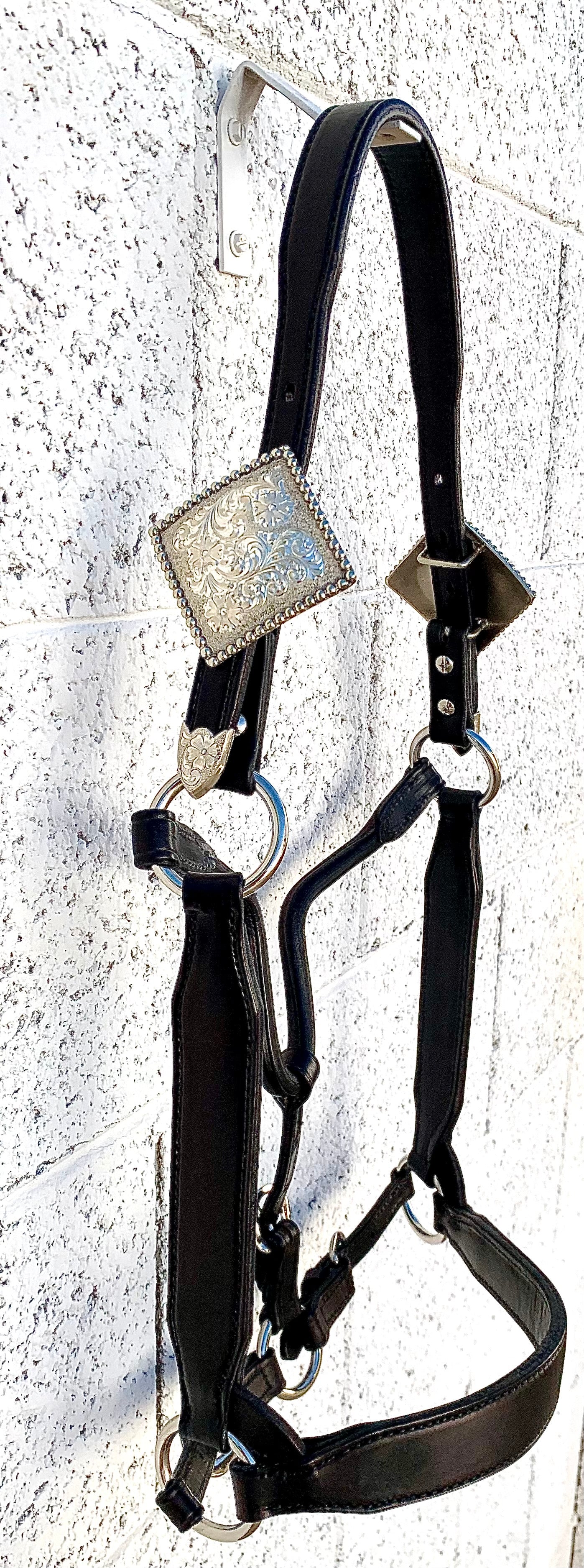 Black Horse Size Congress Cut Halter with Sterling Silver Buckles