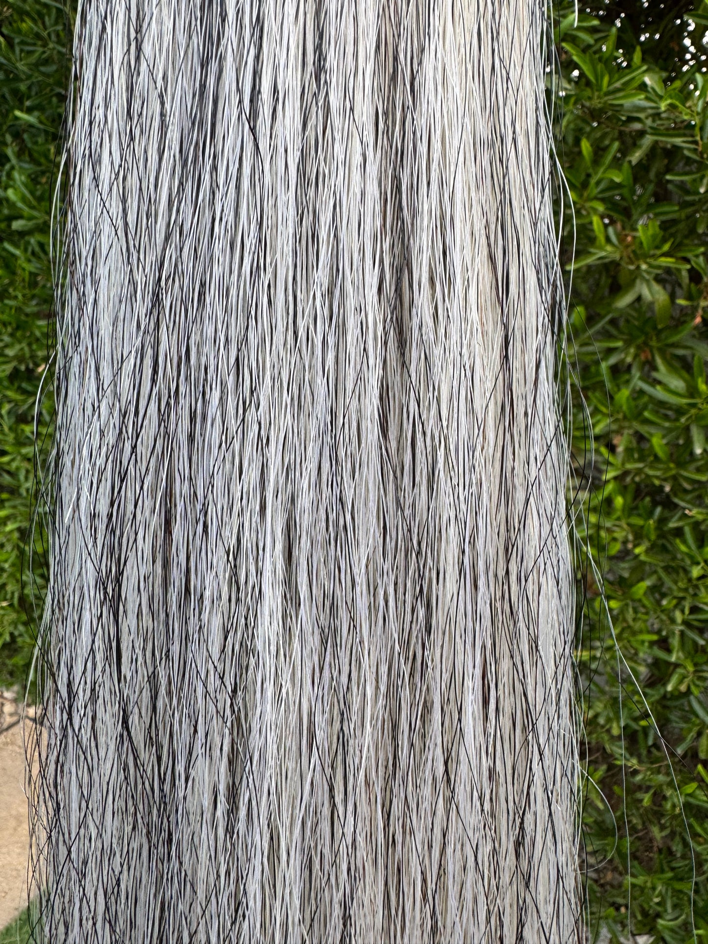 Light Gray Tail Extension, 1.5 Lb, 38”, Weight Setup