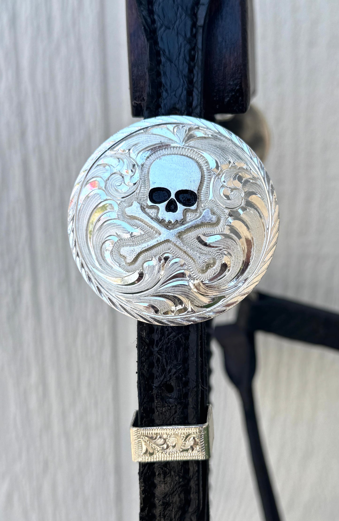 Fairytail Leather Used Yearling Black Python Halter