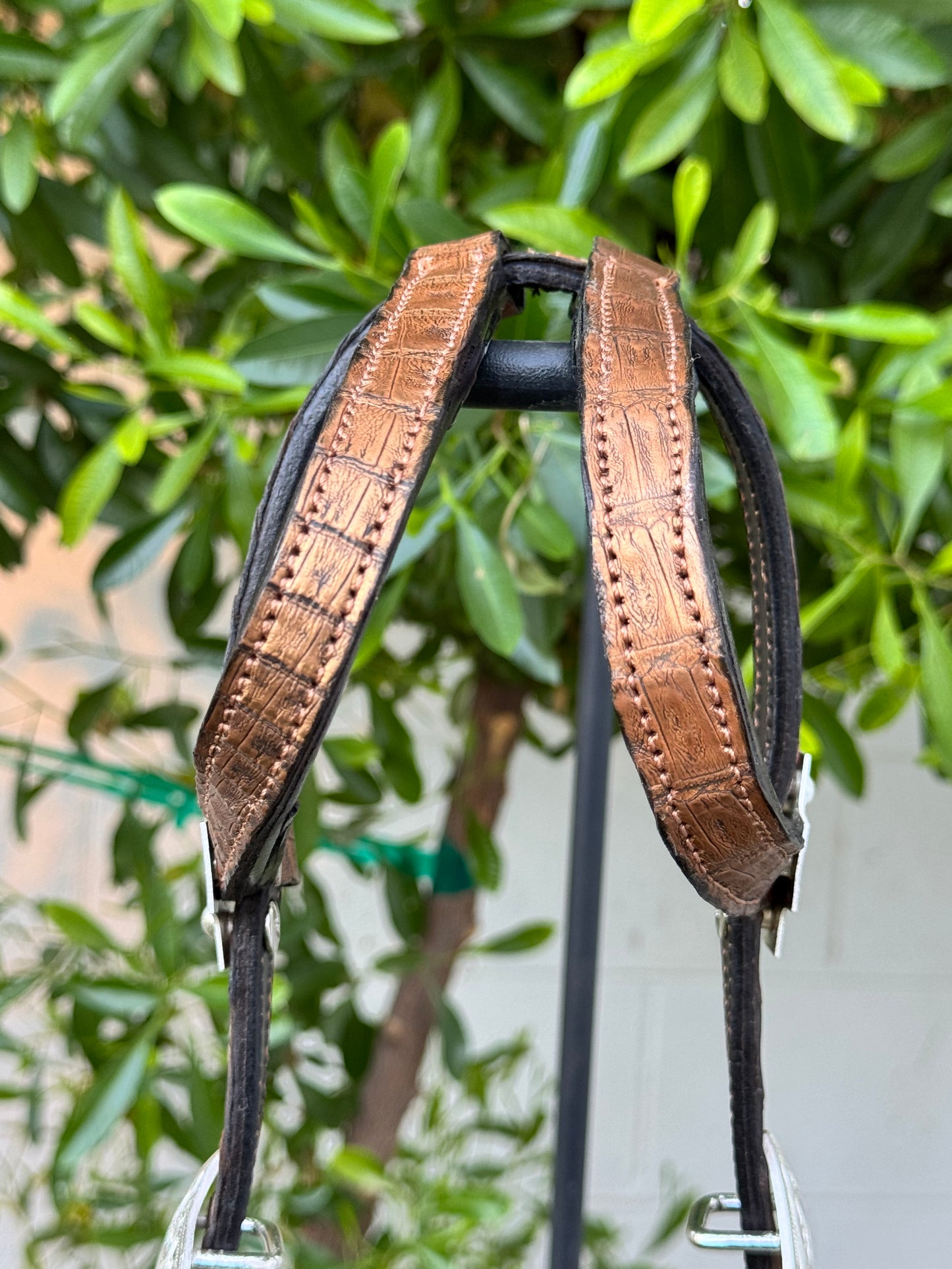 Fairytail Leather Gold Caiman Headstall
