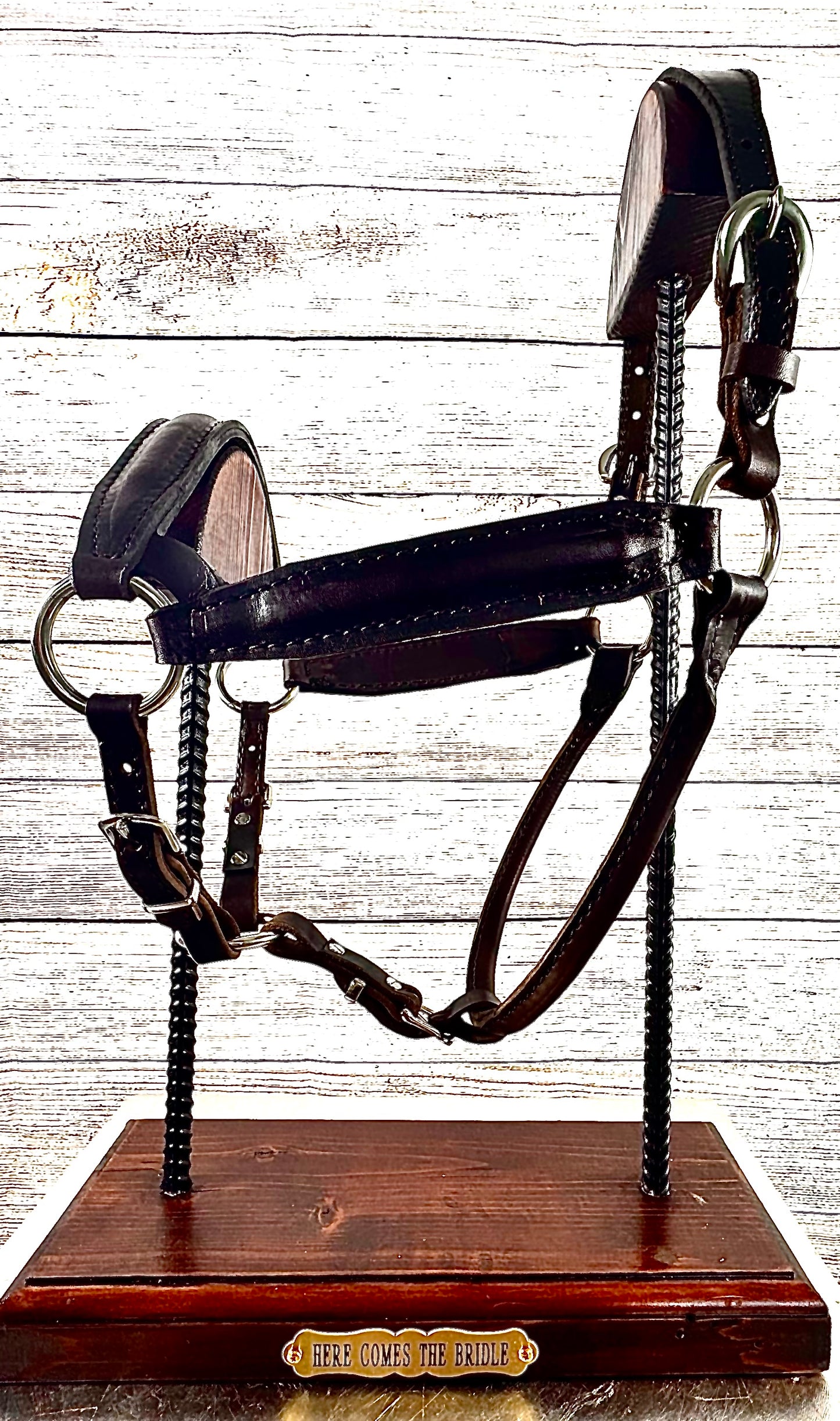 Havana 2 YO Size Padded English Show Halter