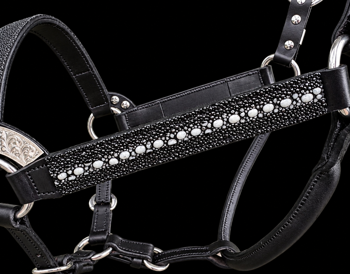 Fairytail Leather Black Stingray Halter, Horse Size
