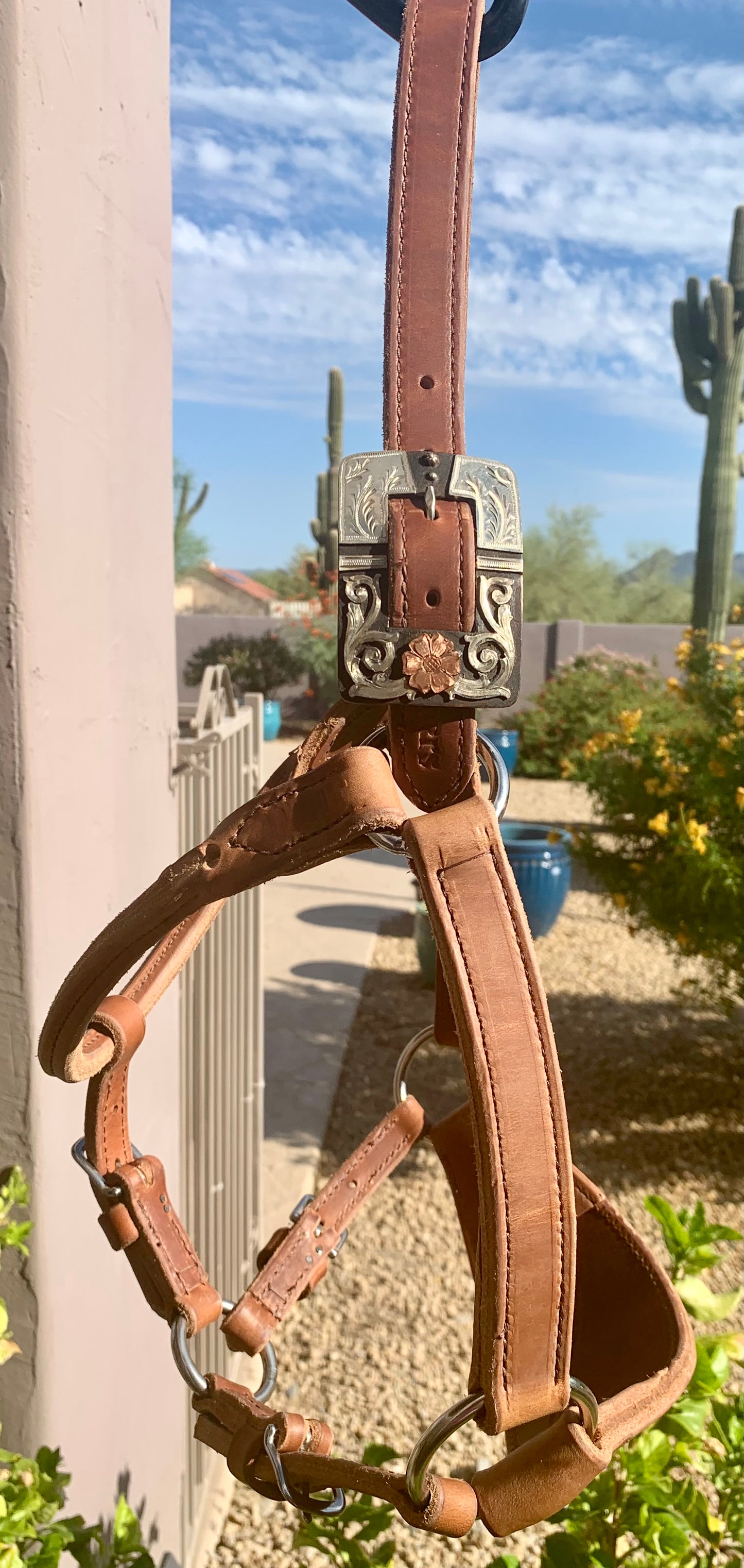 Ranch Halter, Horse Size with Bronc Noseband