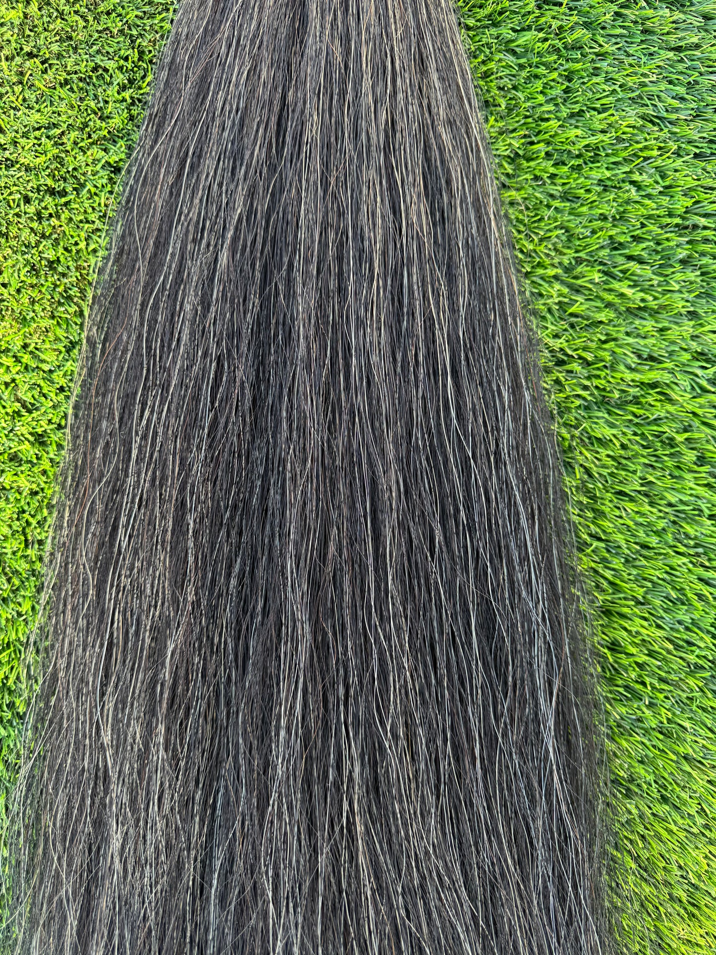 Dark Gray Show Tail Extension, 34”, 2 Lb.