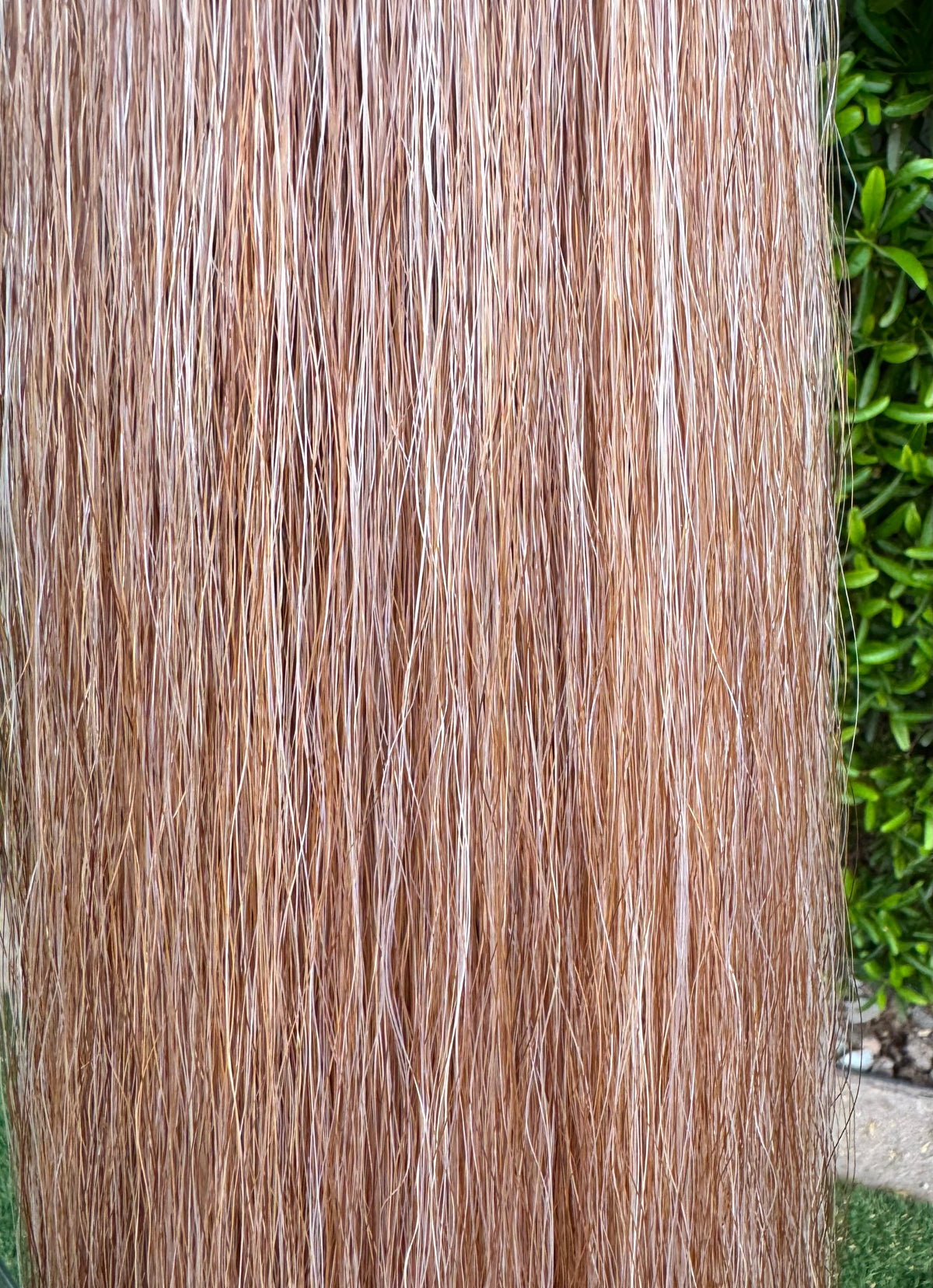 Light Sorrel Flaxen Tail Extension, 37”, 2 Lbs