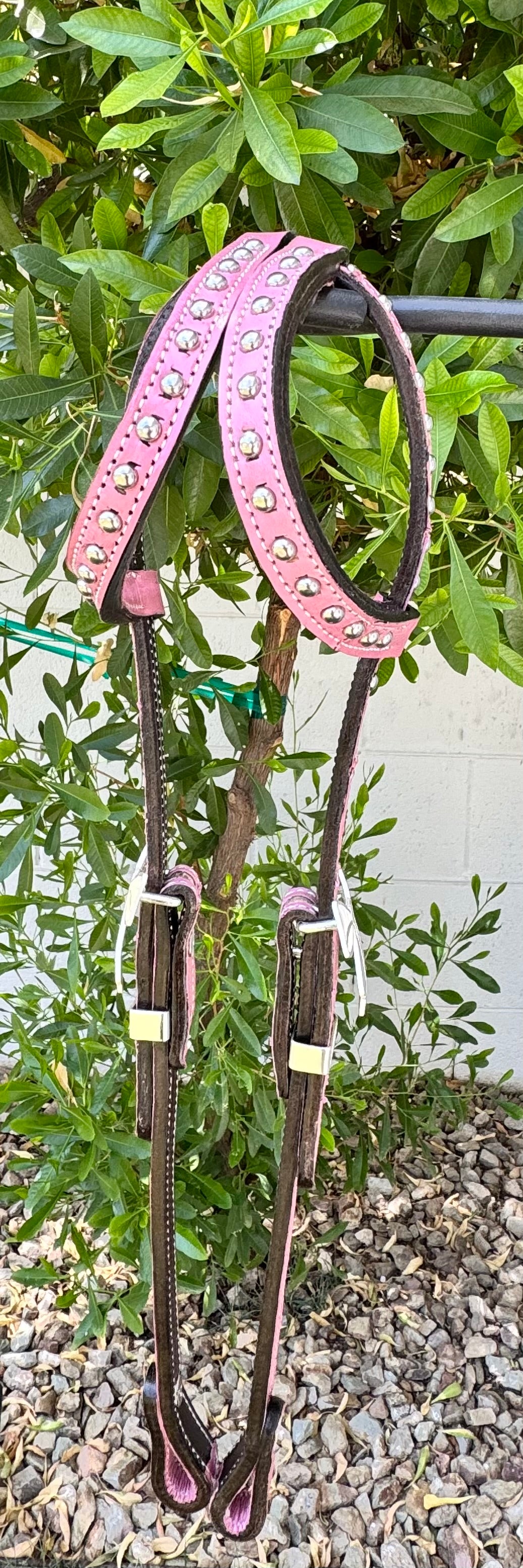 Fairytail Leather Co Dusty Pink Eel Headstall