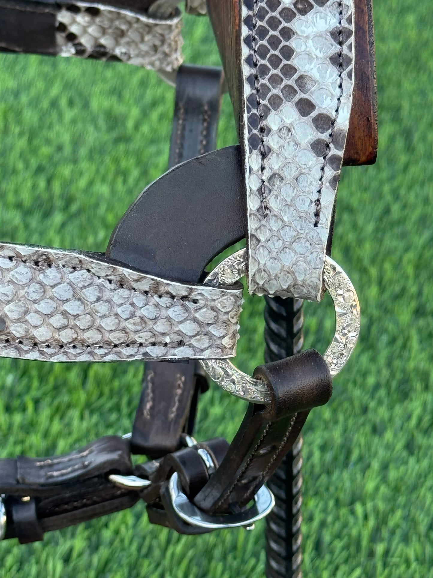 Fairytail Leather Co Python Halter