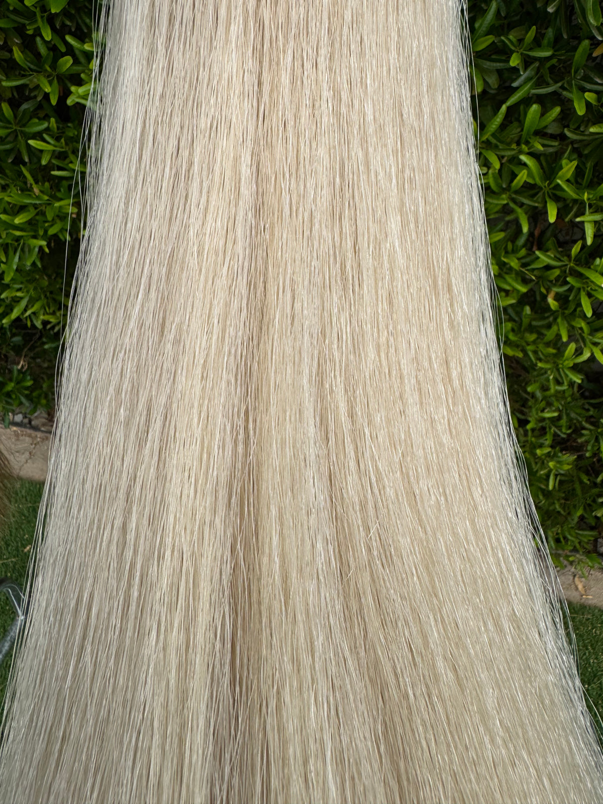 Cream 1.5 lb 35” Tail Extension With Weight Setup