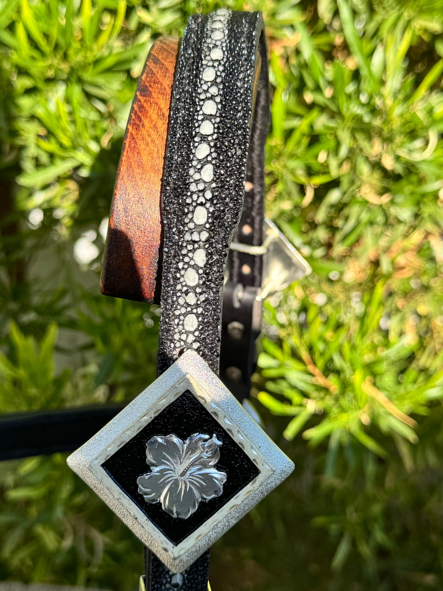 Fairytail Leather Black Stingray Halter, Horse
