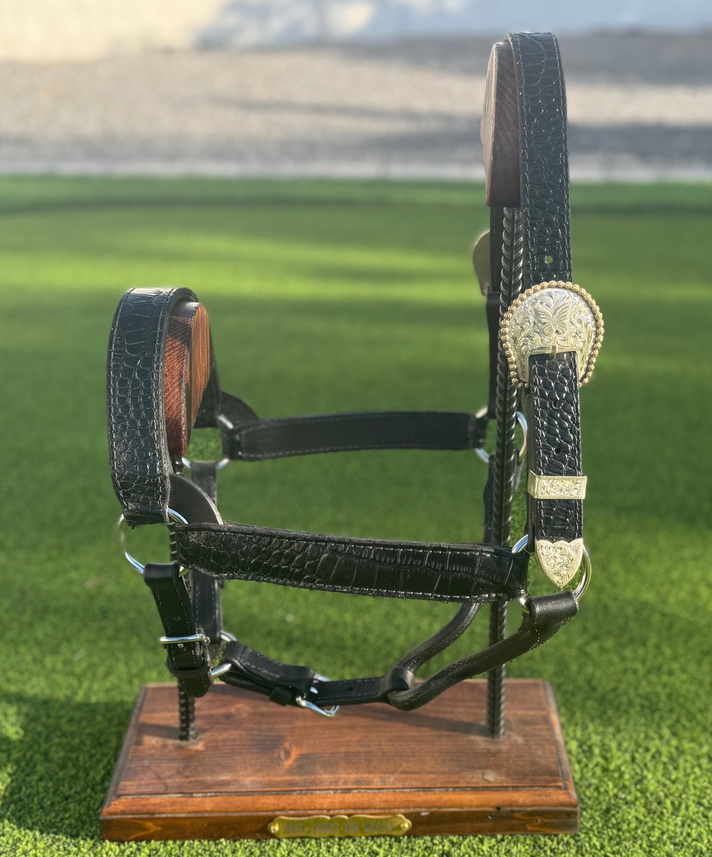 Black Large Horse Size Halter with Silver Overlay Butterfly Buckles