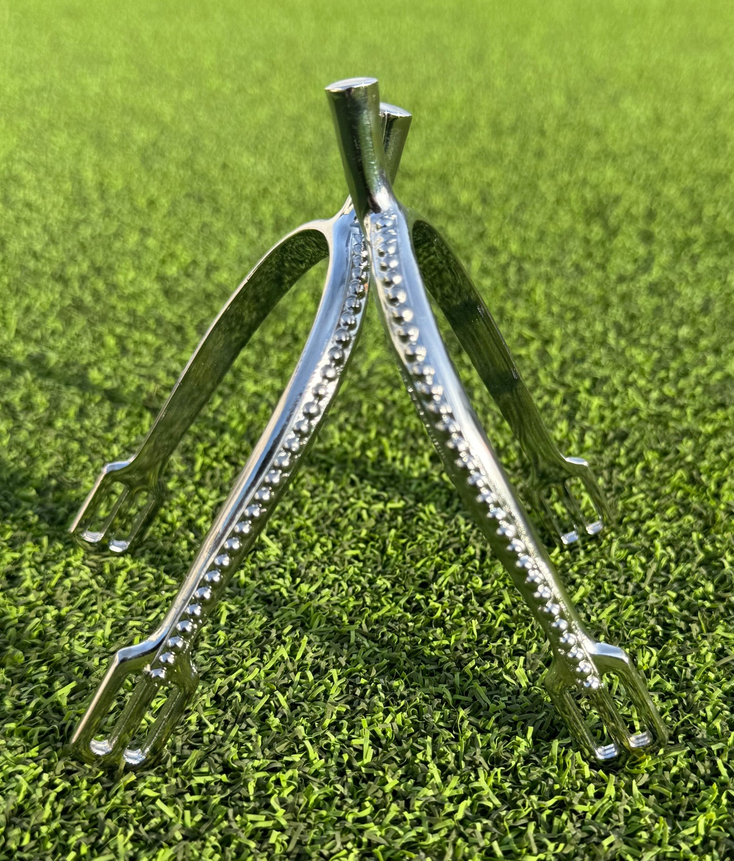 Ladies 1" Silver Dots Prince of Wales English Spurs