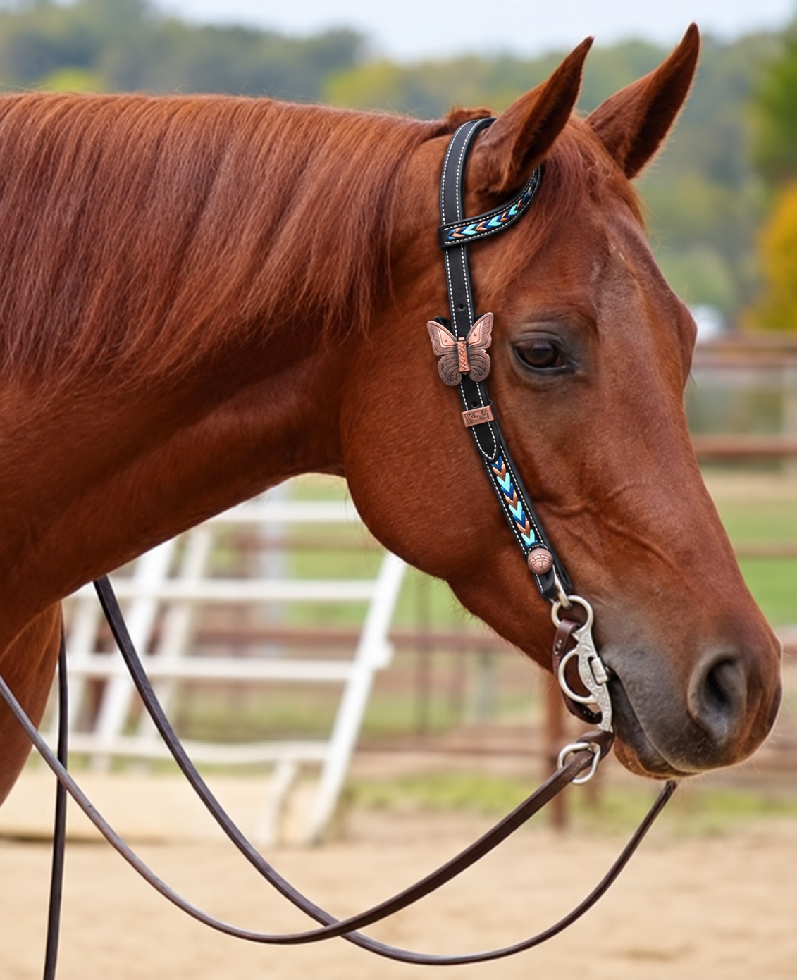 Fairytail Leather Co Kangaroo Lace Headstall