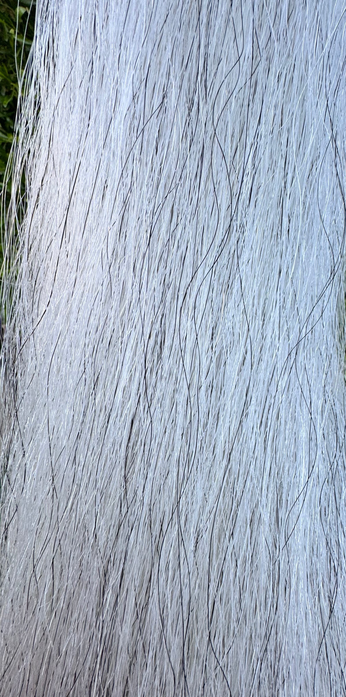 1.5 lb Extra Light Gray (w/Pure White) Tail Extension With Weight Setup, 31”