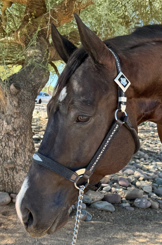 Fairytail Leather Black Stingray Halter, Horse