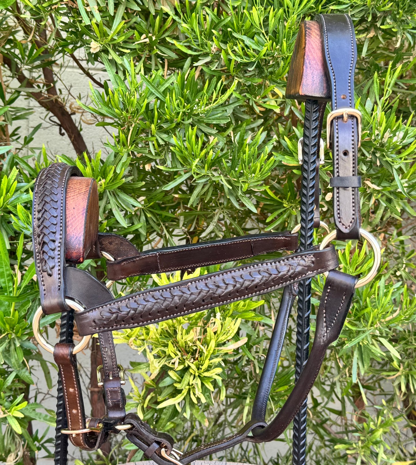 Braided Havana Horse Size English Show Halter (Brass)