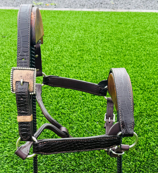 Brown Horse Size Crocodile Embossed Halter