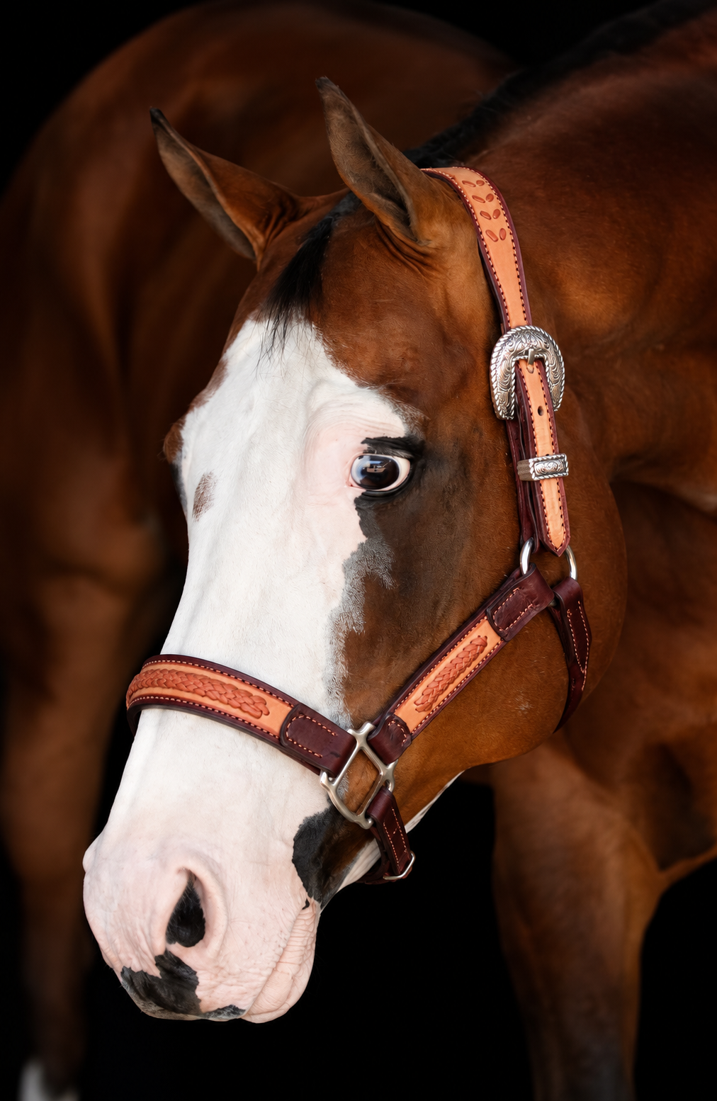 Fairytail Leather Co Ranch Halter