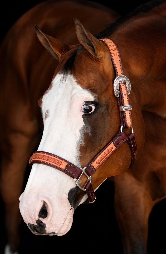 Fairytail Leather Co Ranch Halter