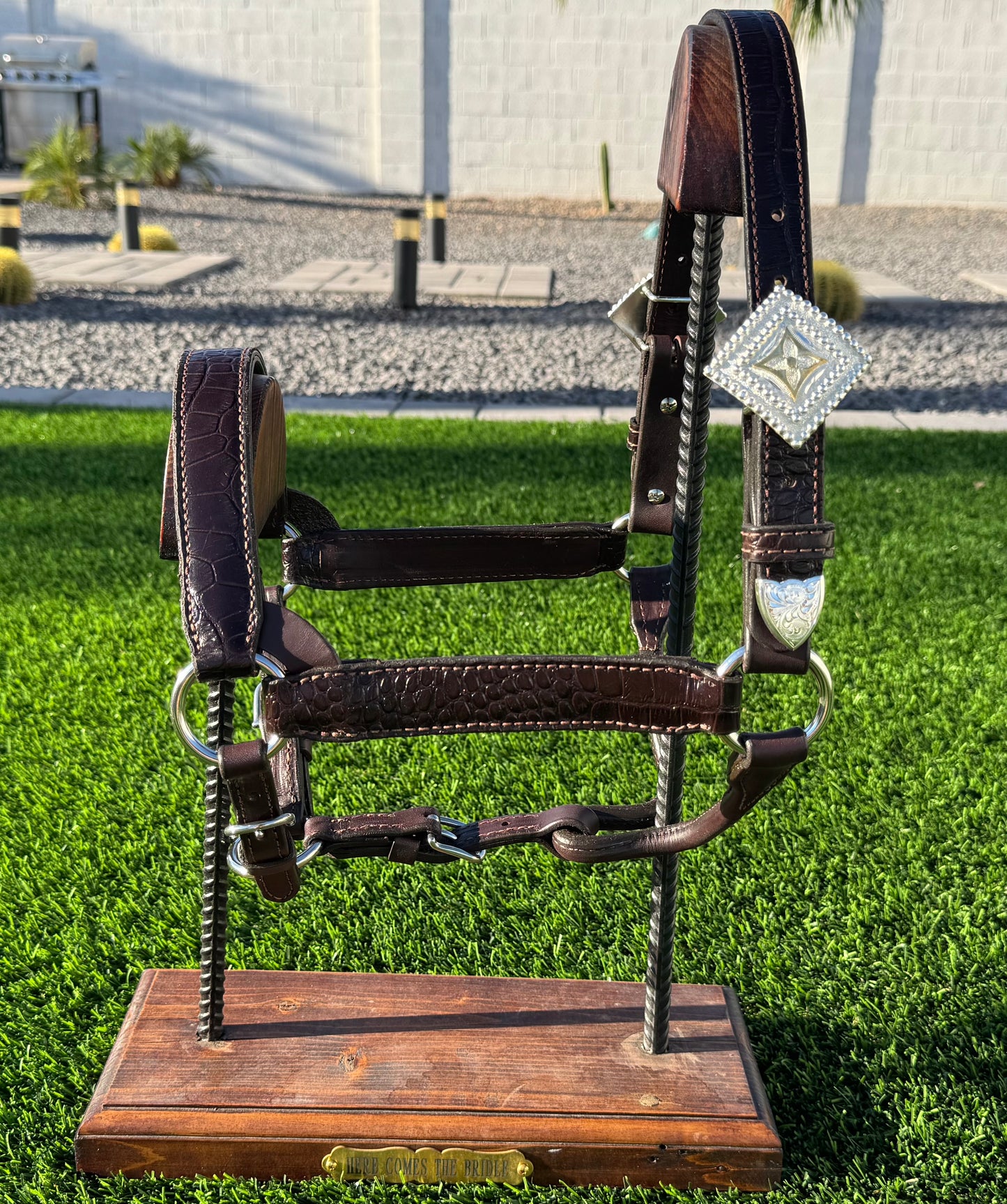 Brown Horse Size Crocodile Embossed Halter