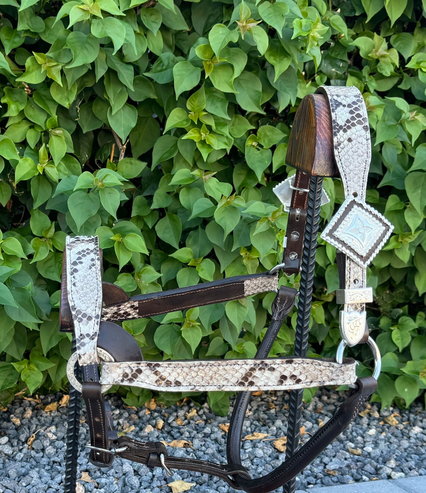 Fairytail Leather Co Python Halter