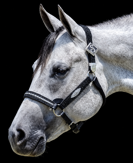 Fairytail Leather Black Stingray Halter, Yearling