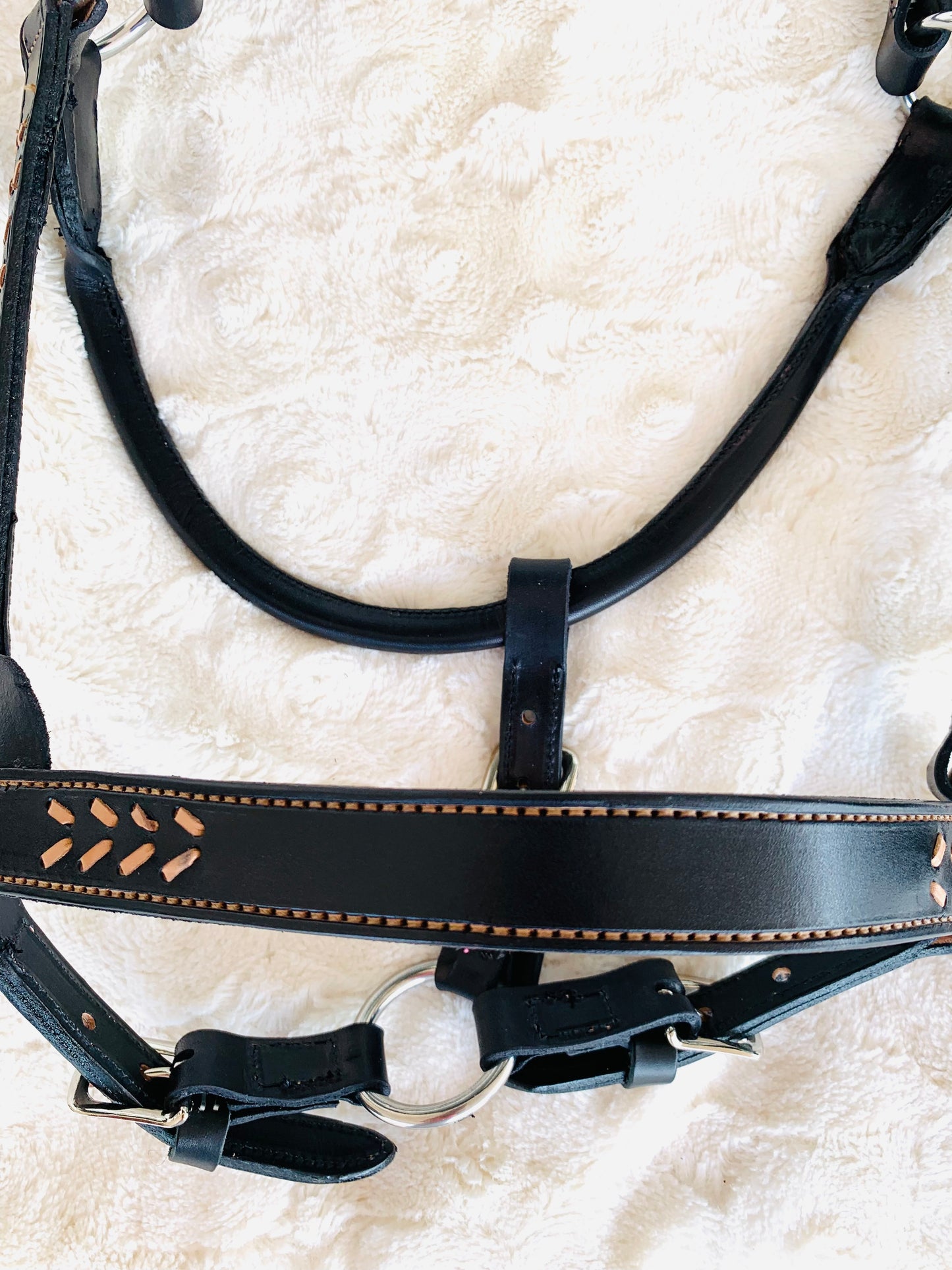 Fairytail Leather Co Black and Tan Laced Halter