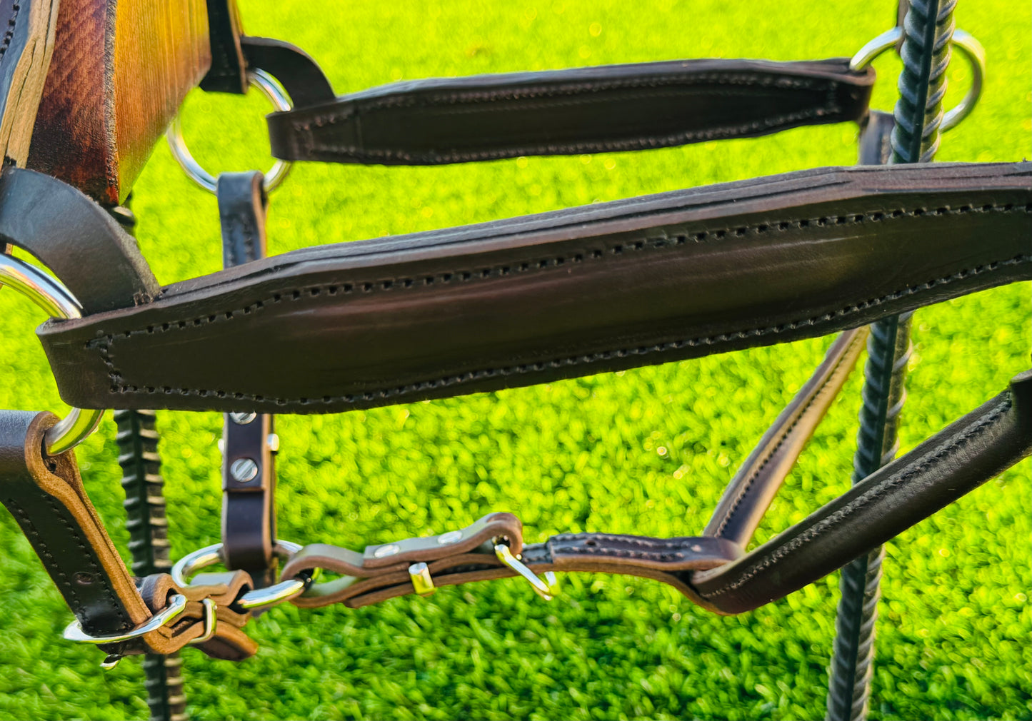 Havana Horse Size Padded English Show Halter