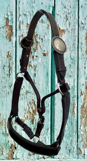 Brown 2 YO/Cob Size Halter with Round Yin Yang Silver Overlay Buckles