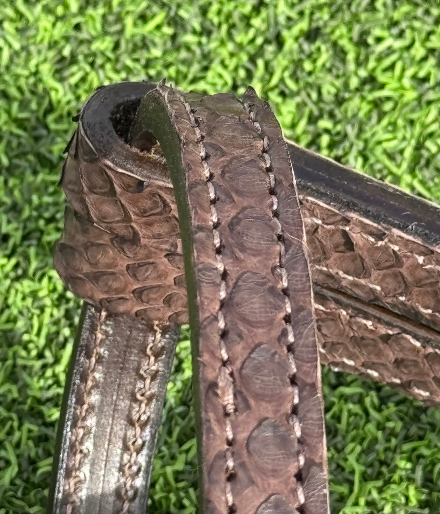 Fairytail Leather Co Brown Python Headstall
