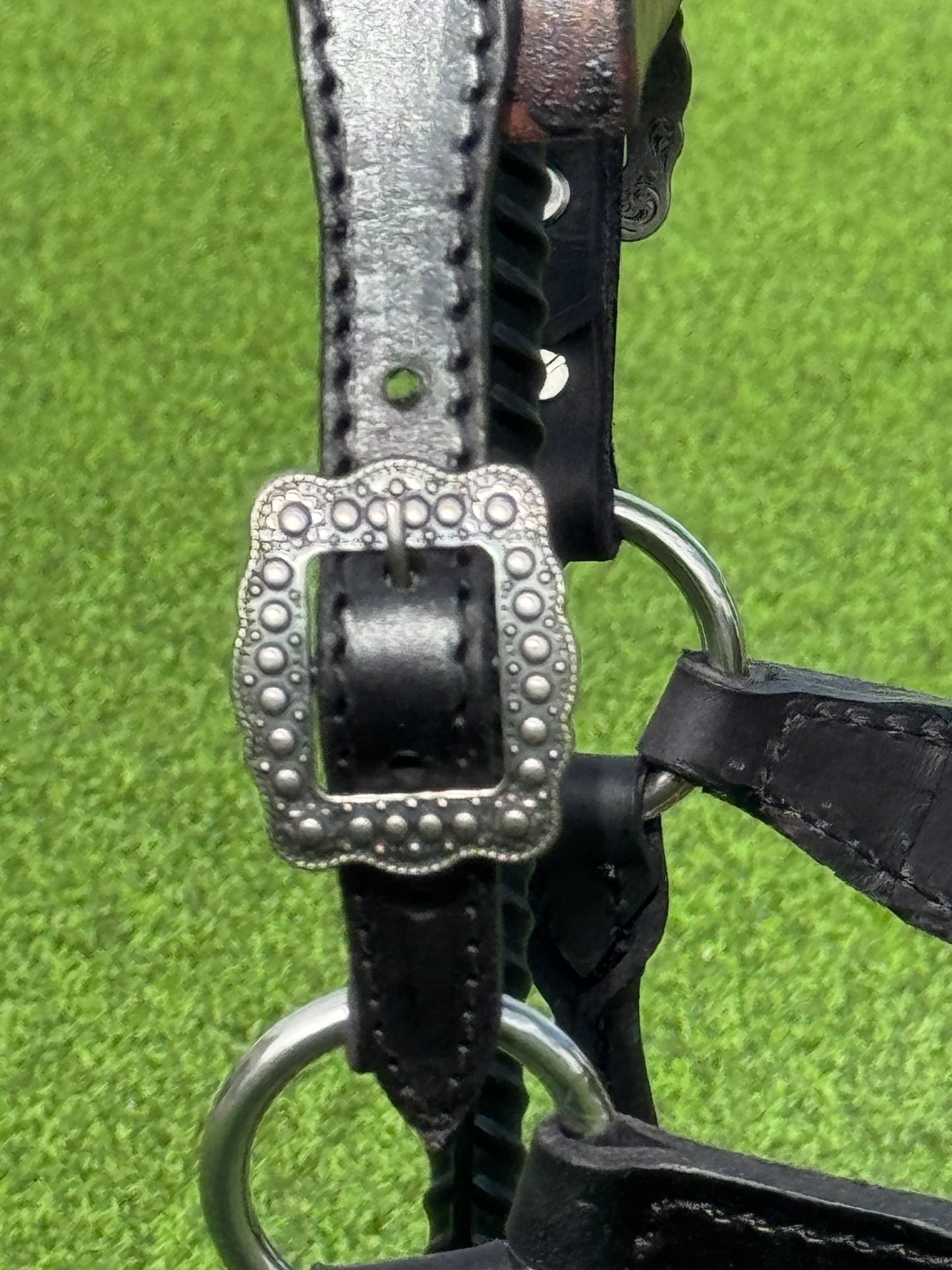 Black Yearling Size Halter