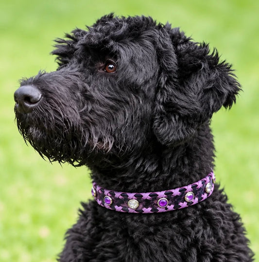Fairytail Leather Co Purple Dog Collar, 16-18”
