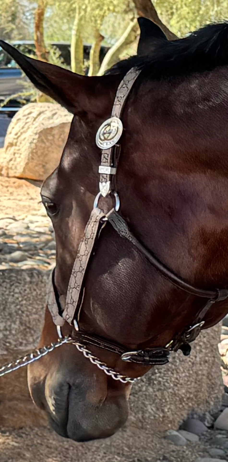 Fairytail Leather Co Brown Designer Halter