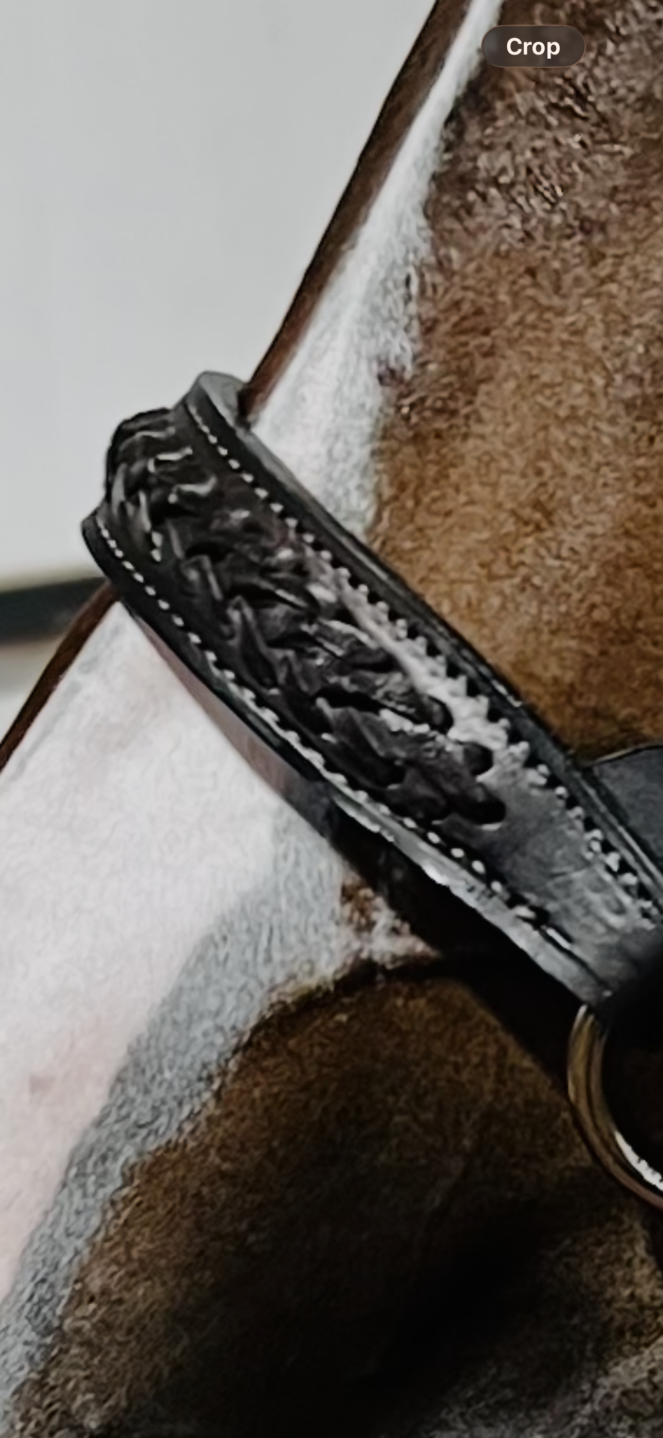 Fairytail Leather Havana Braided English Show Halter - SPECIAL ORDER, ALLOW 4 WEEKS