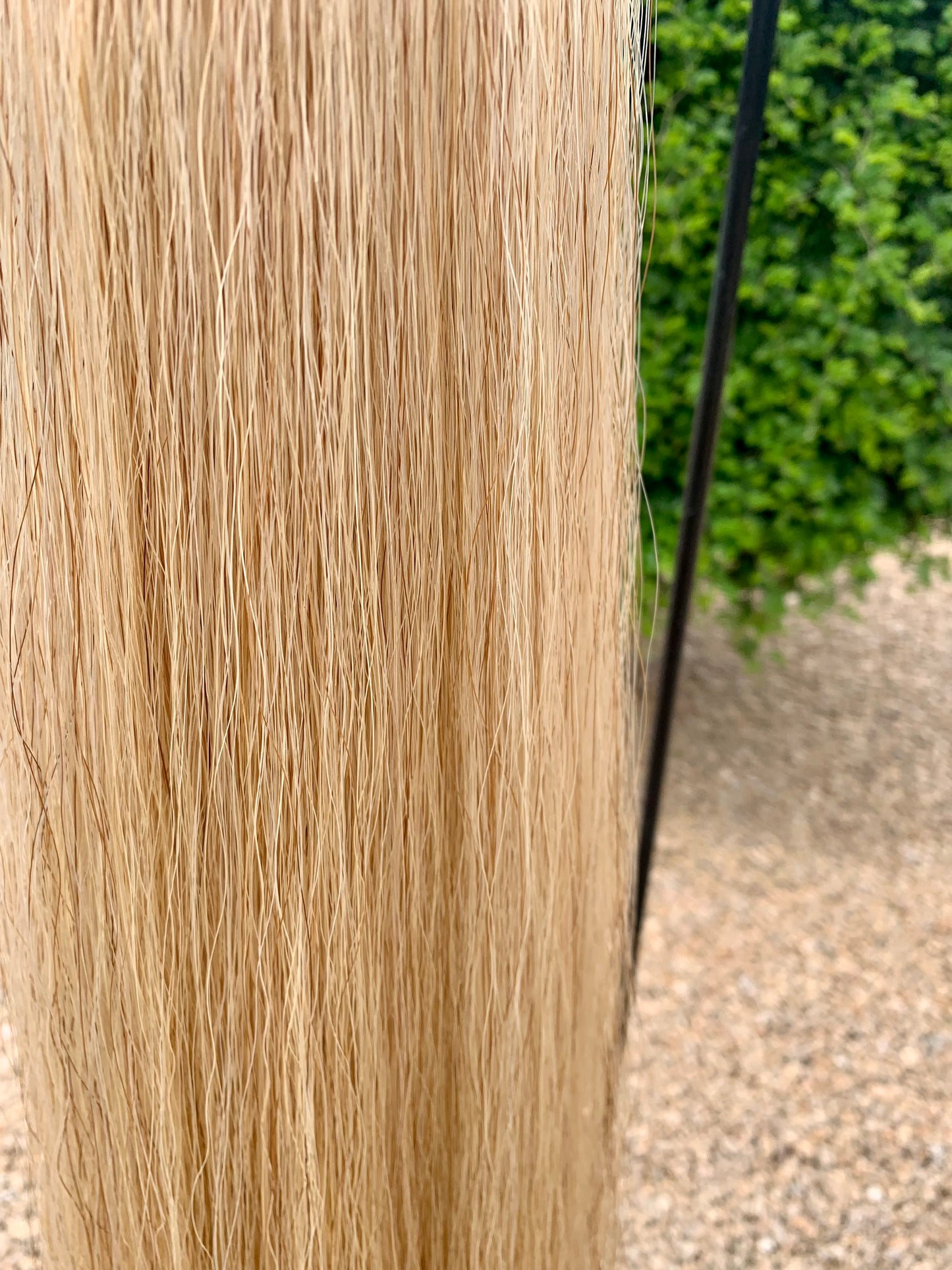 Flaxen Tail Extension, 36”, 1.5 Lbs