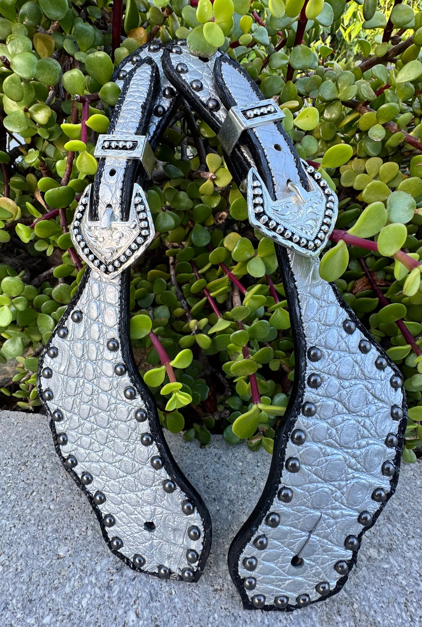 Fairytail Leather Co Silver Caiman Western Spur Straps