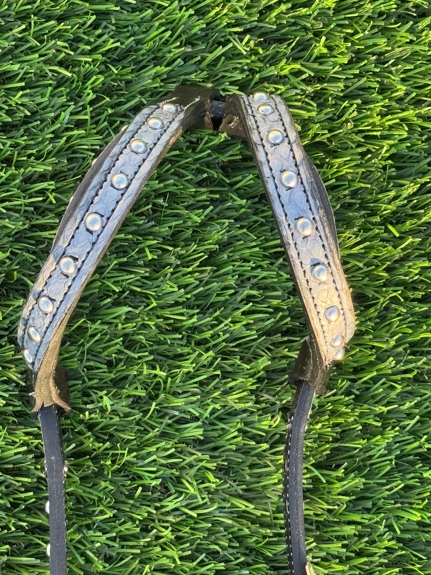 Fairytail Leather Co Black & Grey Python Headstall