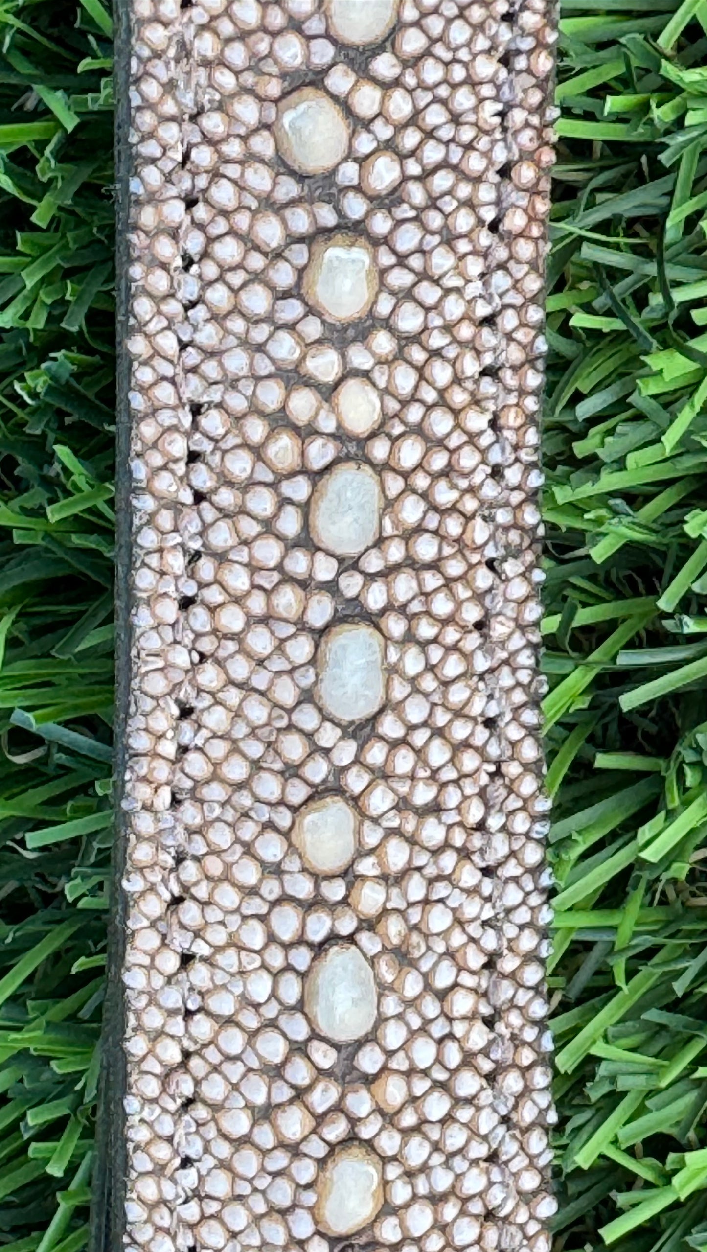 Fairytail Leather Co Brown Row Stingray Headstall