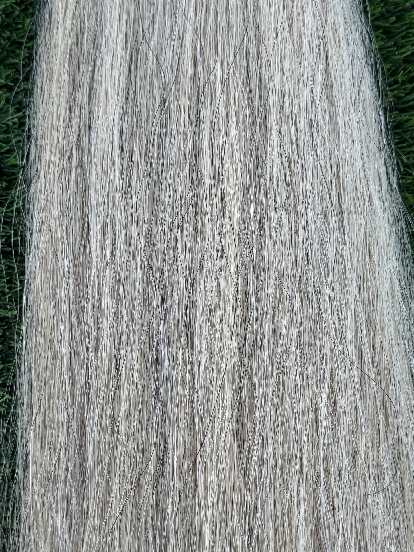 1 lb Extra Light Gray with Cream Tail Extension, 31” Weight Setup