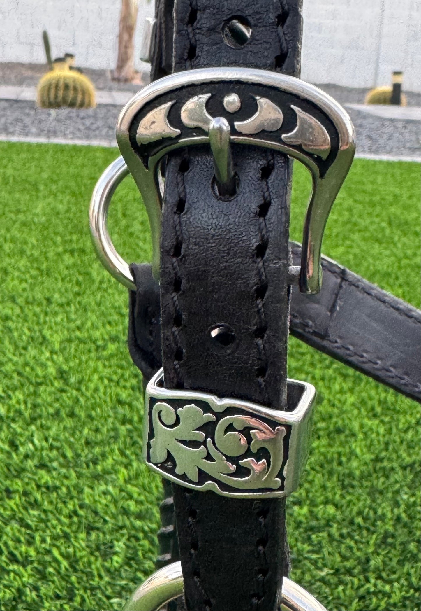 Black Horse Size Halter