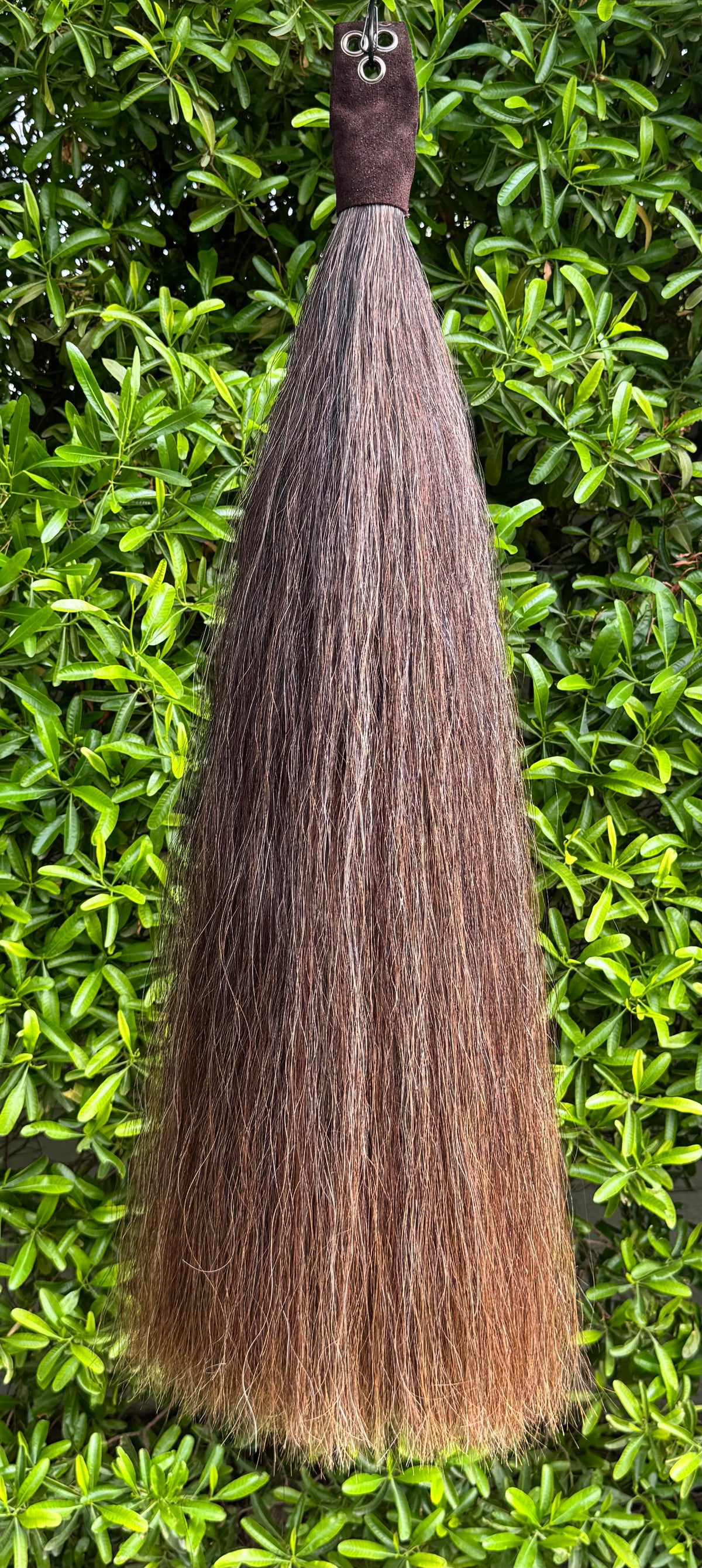 Brown Mix Tail Extension, 37”, 2Lb, Weight Setup