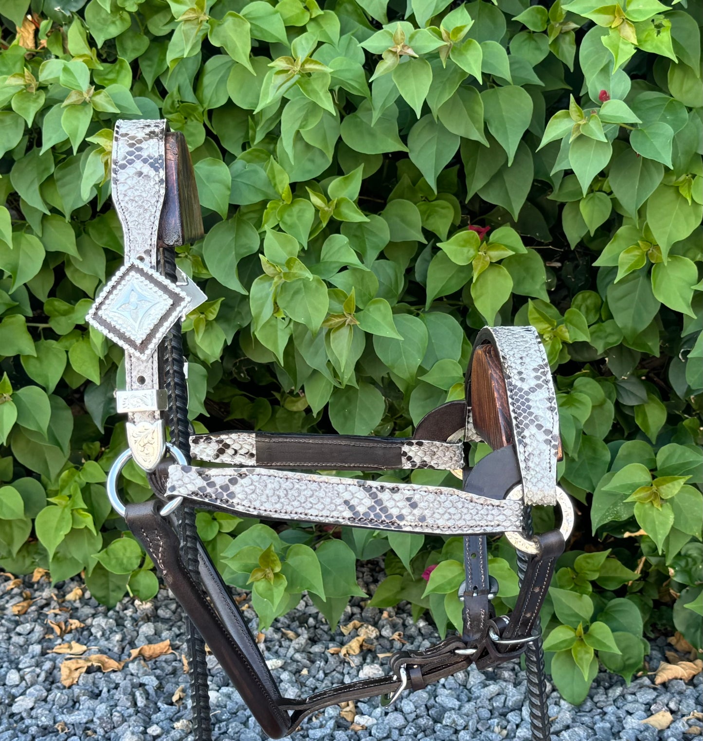 Fairytail Leather Co Python Halter