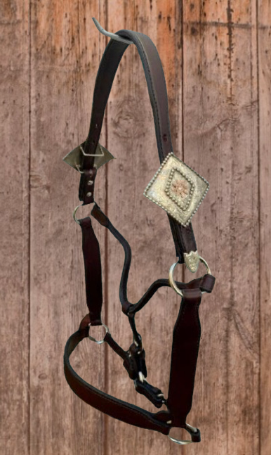 Dark Oil Horse Size Congress Cut Halter with Custom Sterling Buckles