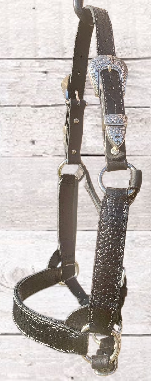 Black Yearling Halter with Antique Silver Ranch Buckles